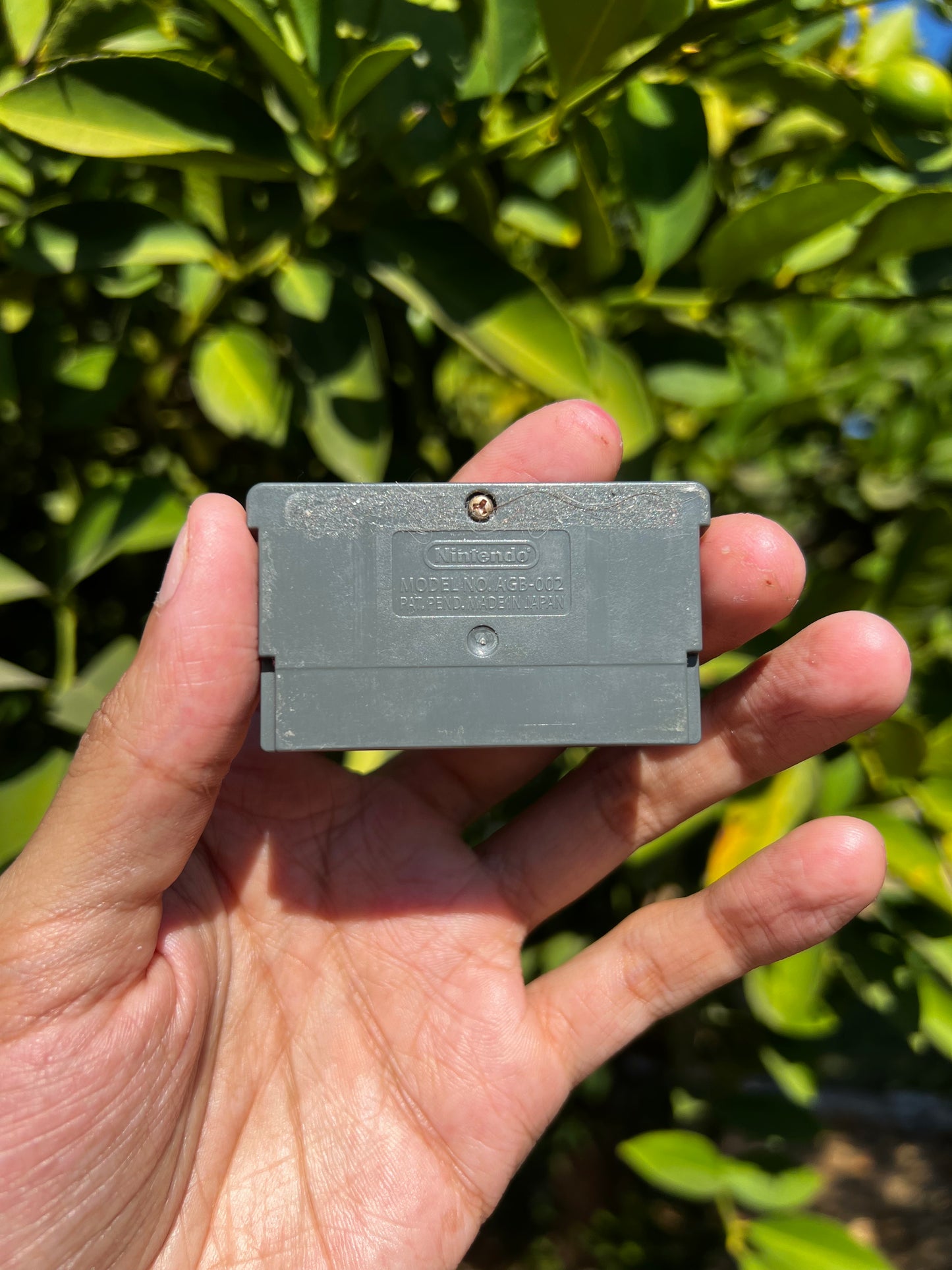 Hey Arnold! The Movie for GBA