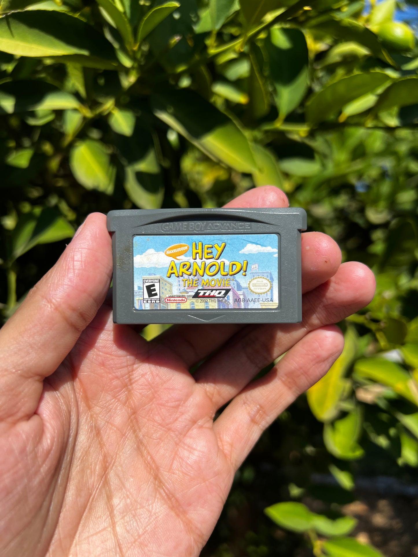 Hey Arnold! The Movie for GBA