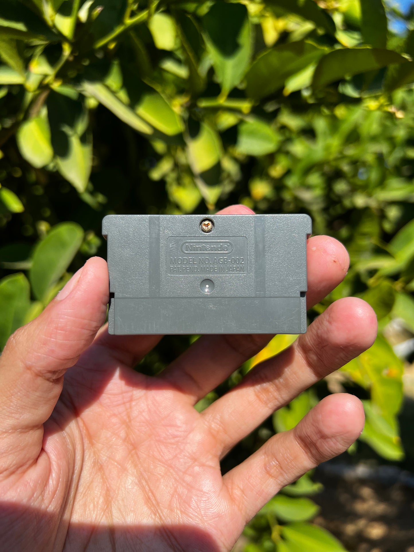 Mario Golf: Advance Tour for GBA