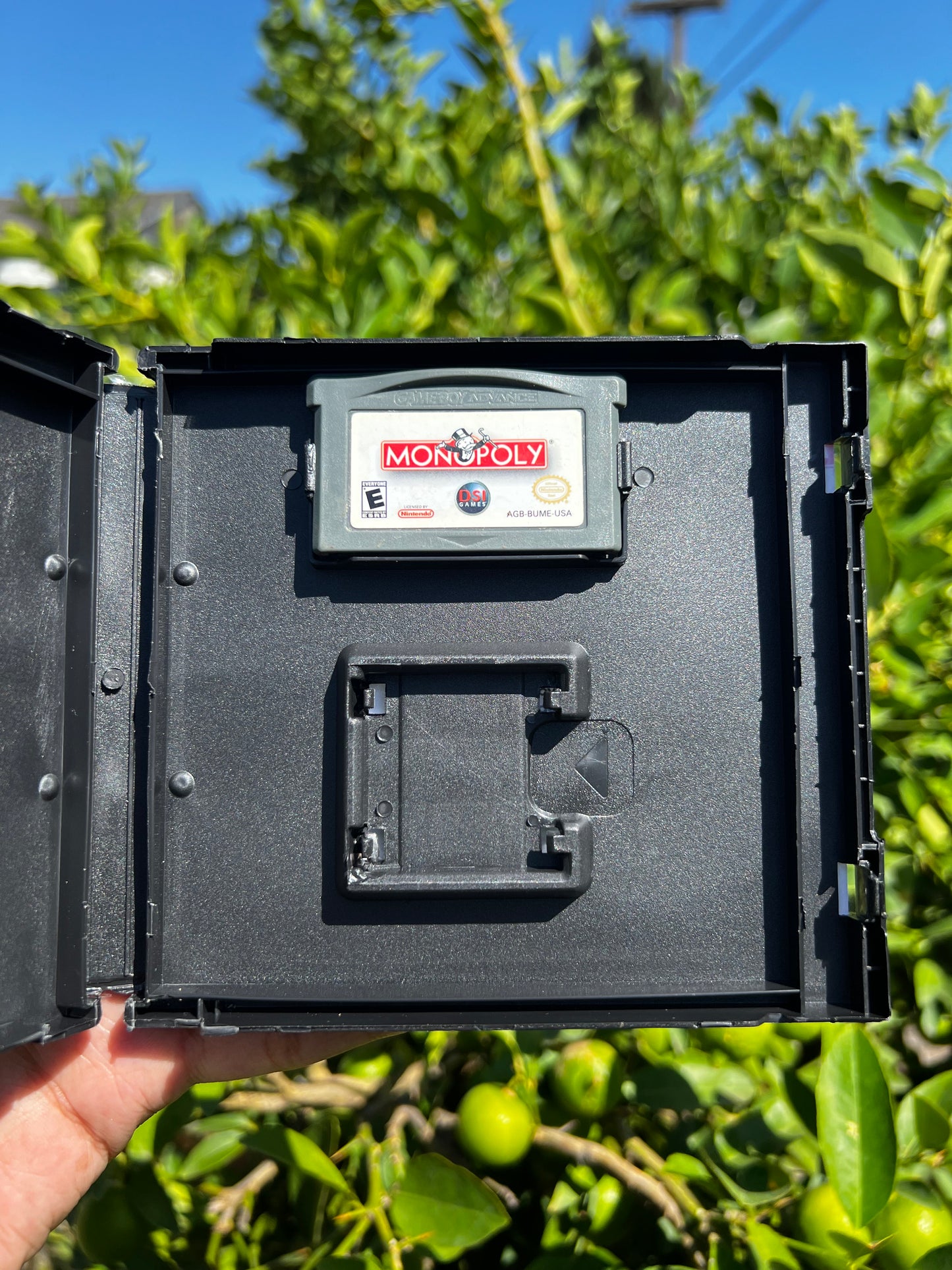 Monopoly for GBA