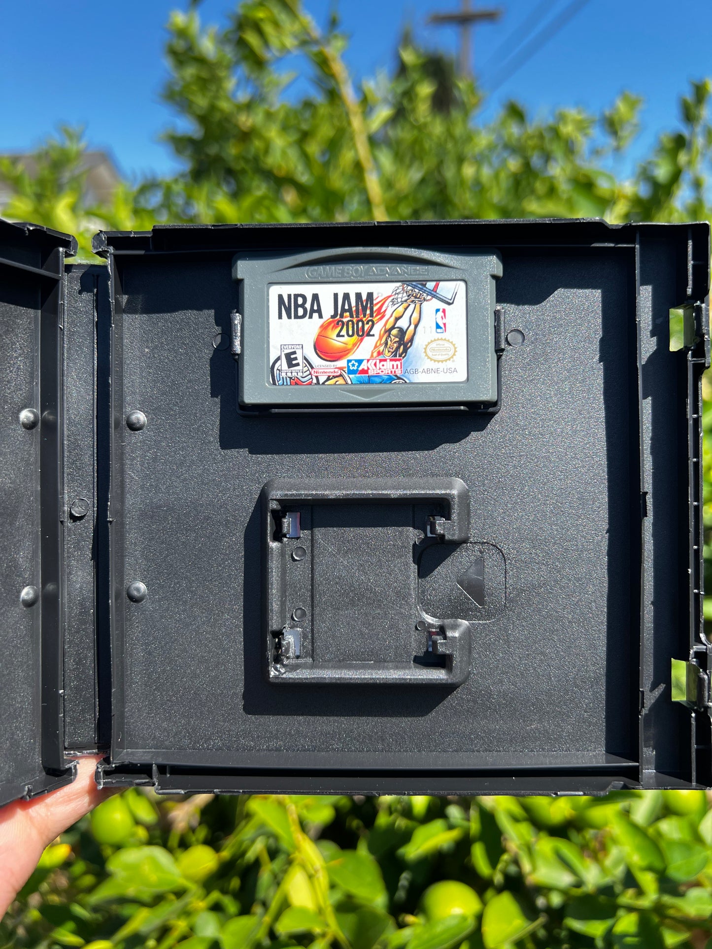 NBA Jam 2002 for GBA