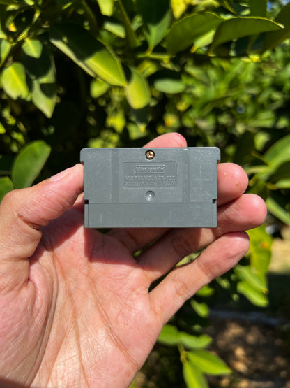 Backyard Baseball for GBA