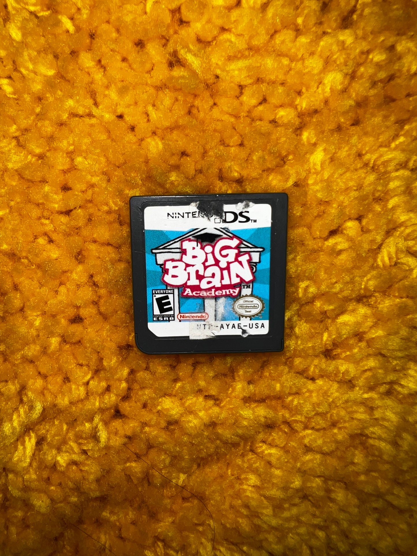 Big Brain Academy for DS