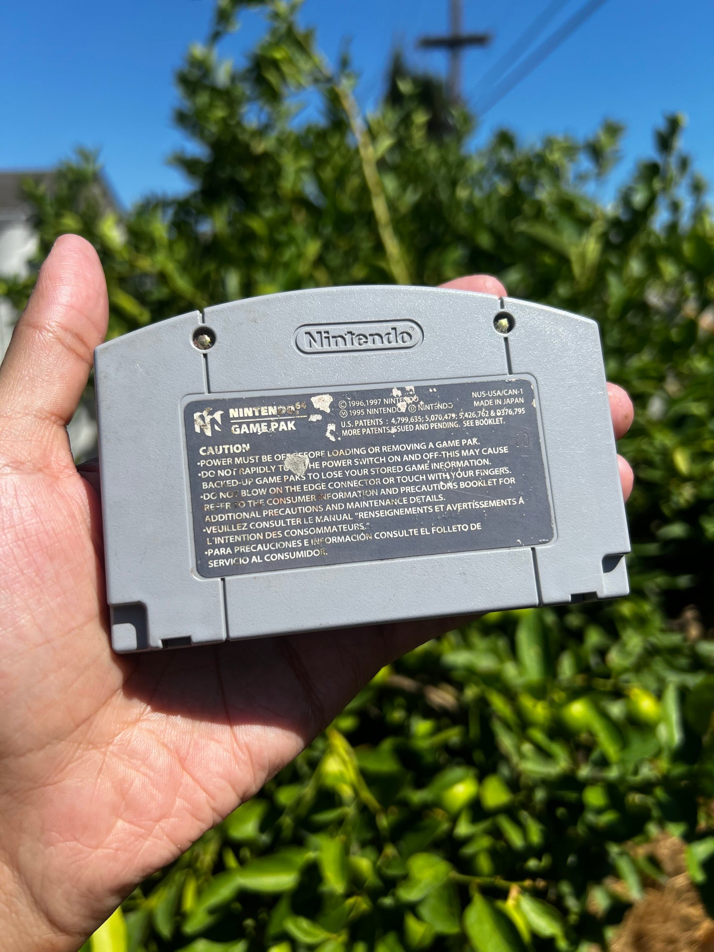 Buck Bumble for N64