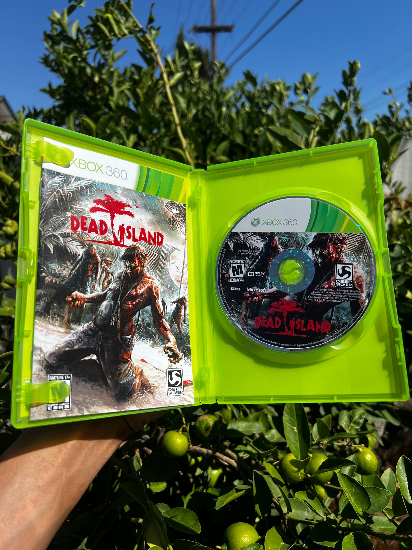 Dead Island for Xbox 360