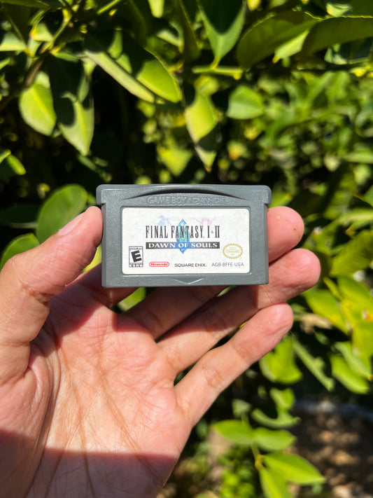 Final Fantasy 1 & 2: Dawn of Souls for GBA