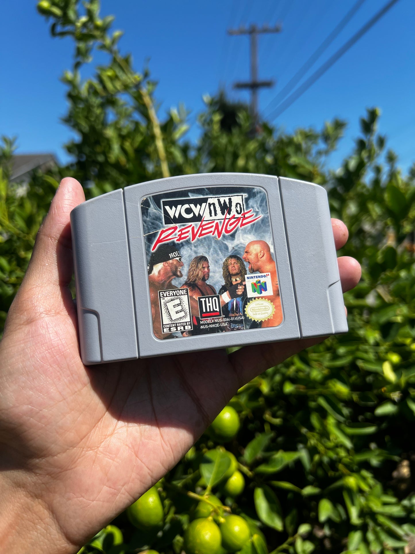 WCW vs nWo Revenge for N64